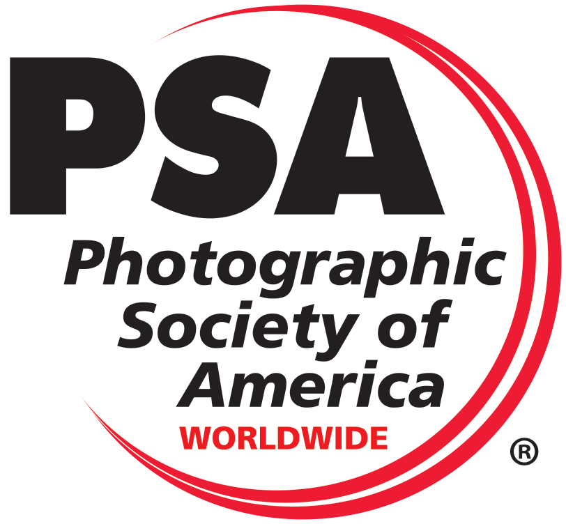 PSA Logo
